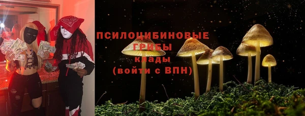 сатива Вязьма