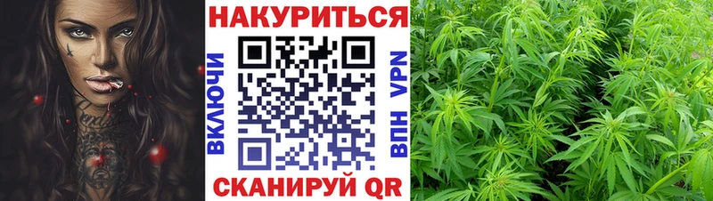 мориарти как зайти  Волжск  МАРИХУАНА марихуана 